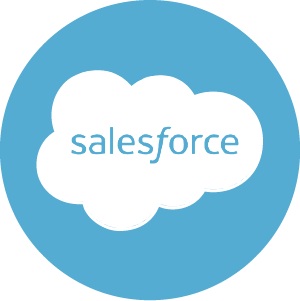 SalesForce user data loading - icon