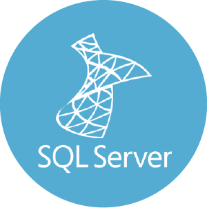 Microsoft SQL Server accounts and permissions extraction and loading - icon